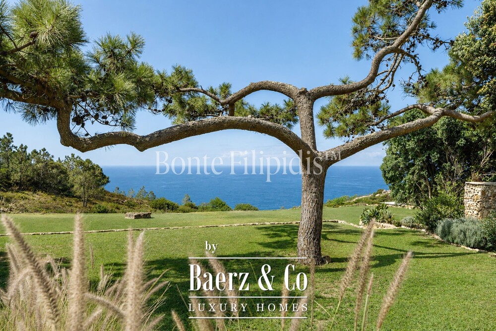 Foto 15 1000w